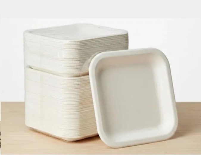 Aaroyaa 5 Inch Square Tray – Compact, Sustainable & Perfect for Everyday Food Serving
