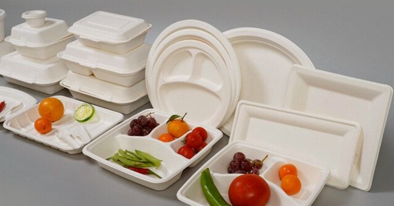 Aaroyaa Areca Leaf Plates: Nature’s Elegance on Your Table