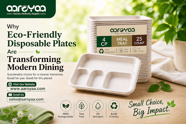 Eco-Friendly Biodegradable Tableware in India – Aaroyaa