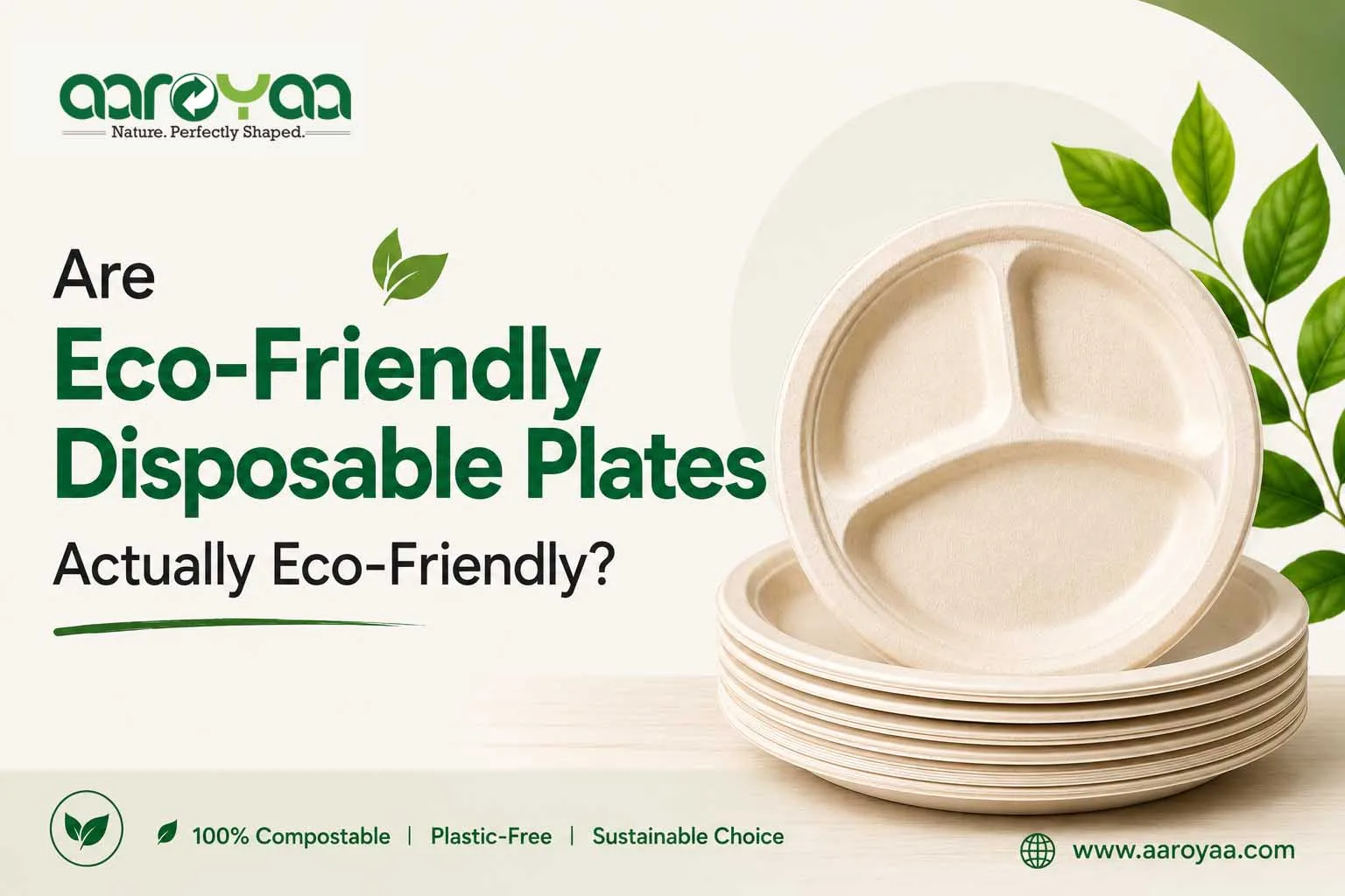 Are Eco-Friendly Disposable Plates Actually Eco-Friendly? What Biodegradable, Compostable and Bio-Based Really Mean