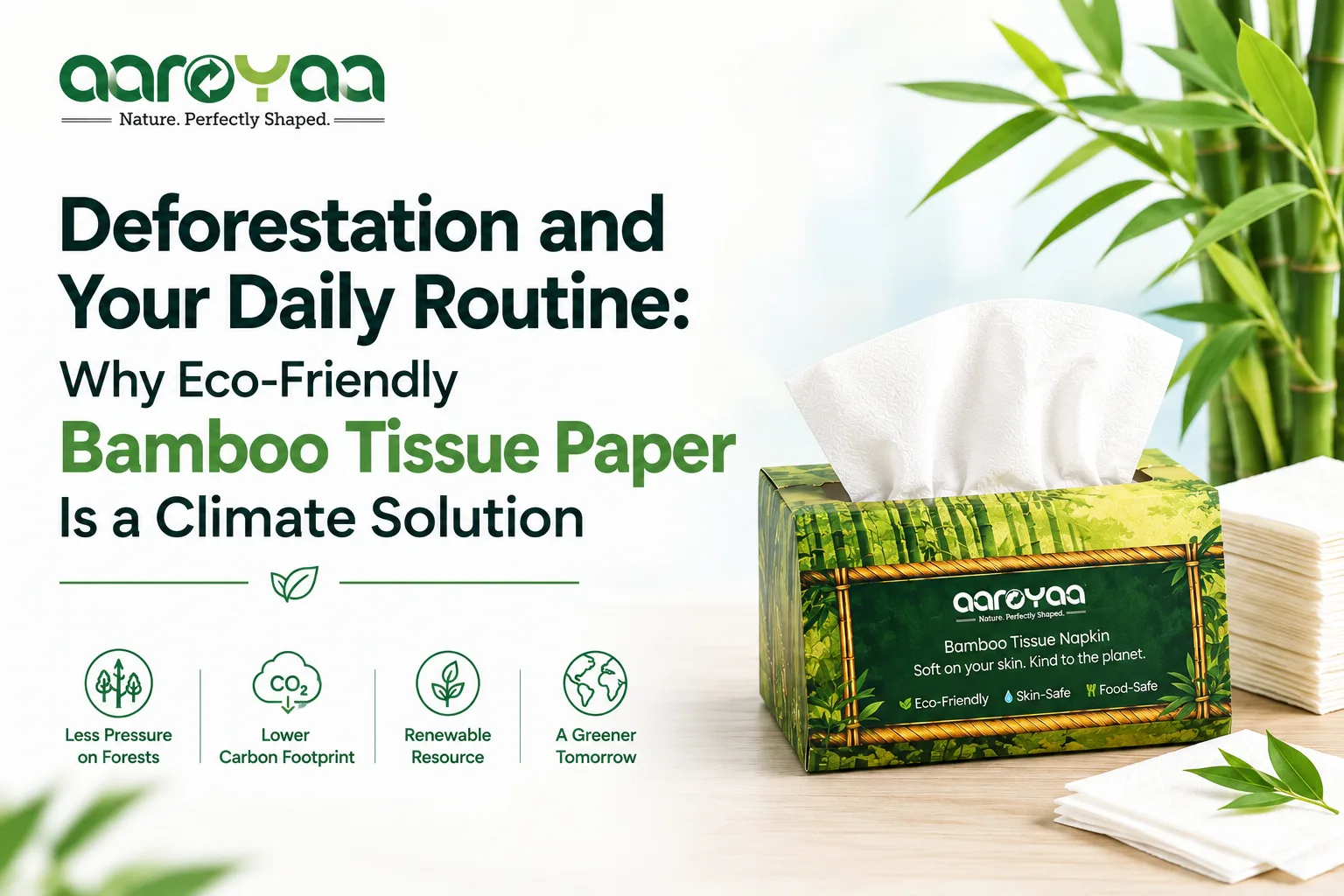 Deforestation and Your Daily Routine: Why Eco-Friendly Bamboo Tissue Paper Is a Climate Solution