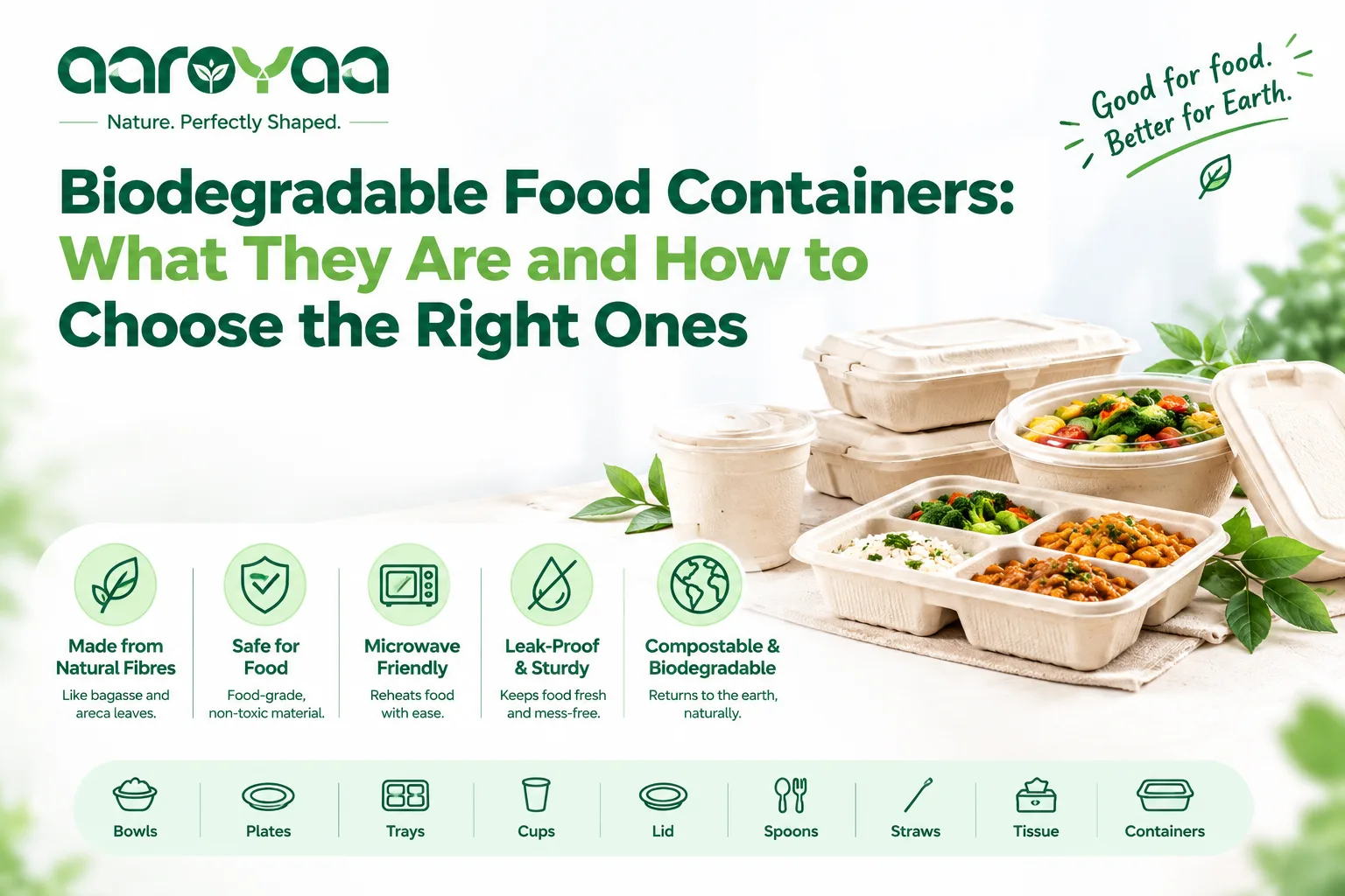 Biodegradable Food Containers: What They Are and How to Choose the Right Ones
