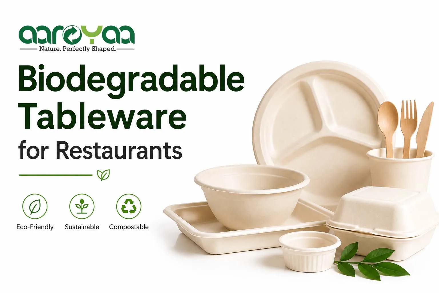 Banned, Allowed, Grey Area: A Restaurant Owner's List of Single-Use Plastic Items (And Where Biodegradable Tableware for Restaurants Fits)