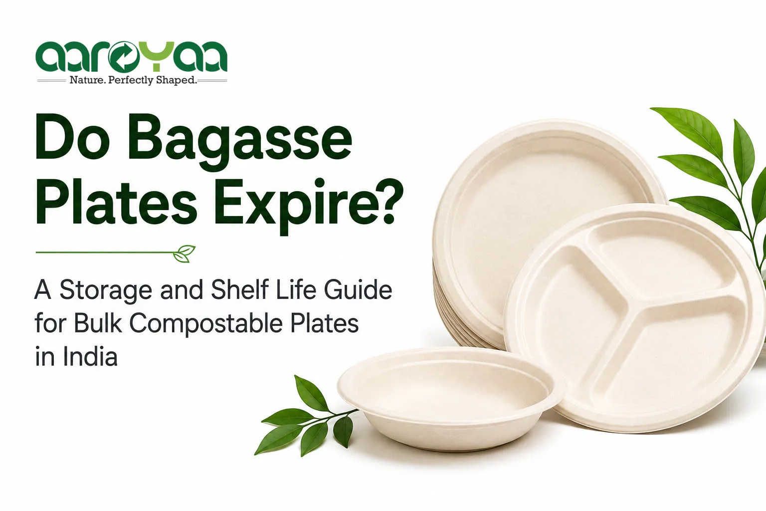 Do Bagasse Plates Expire? A Storage and Shelf Life Guide for Bulk Compostable Plates in India