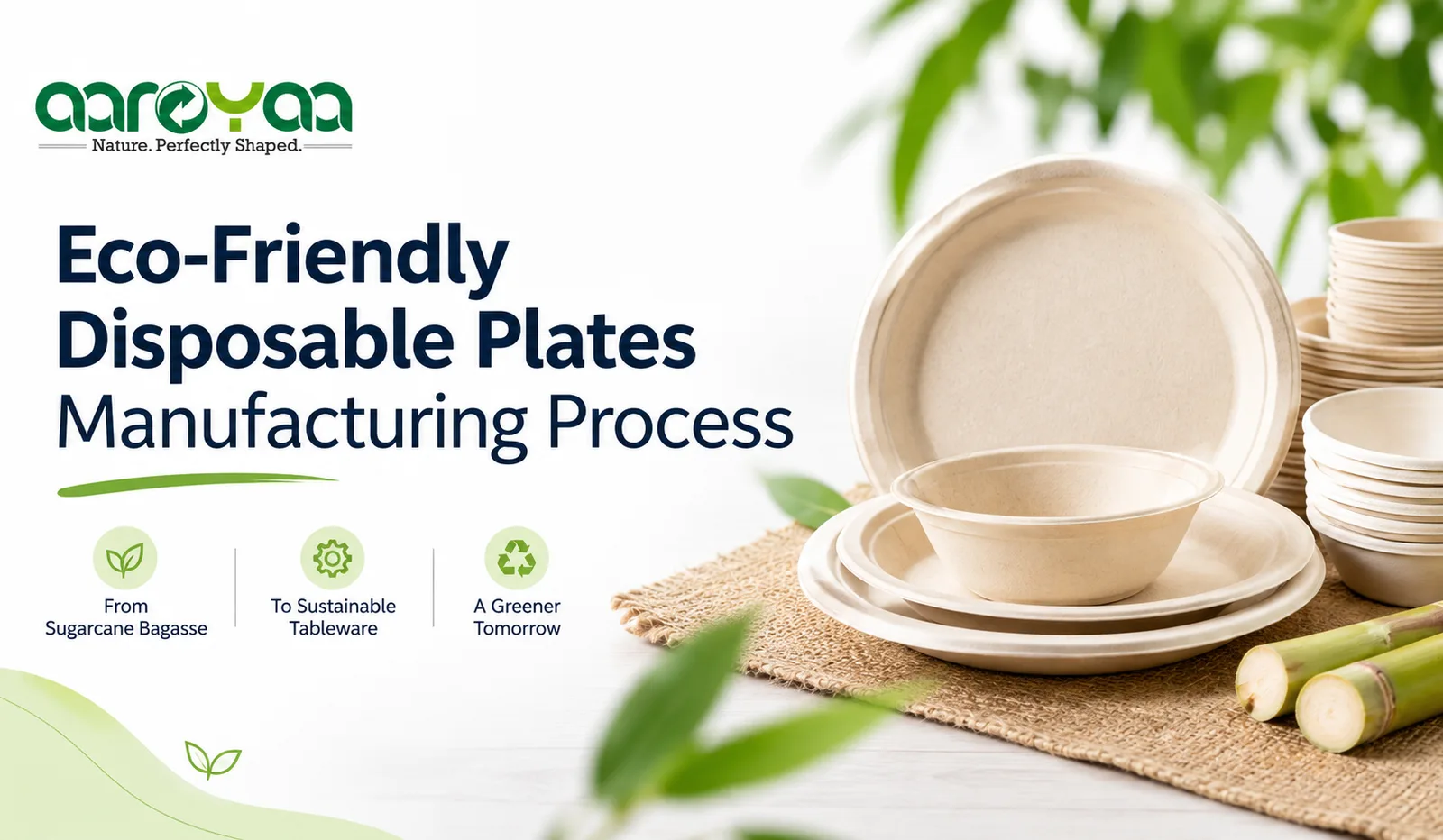 Eco-Friendly Disposable Plates Manufacturing Process: From Sugarcane Bagasse to Sustainable Tableware