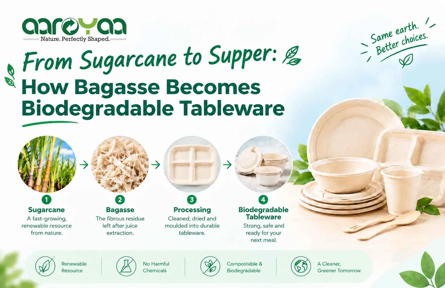 From Sugarcane to Supper: How Bagasse Becomes Biodegradable Tableware