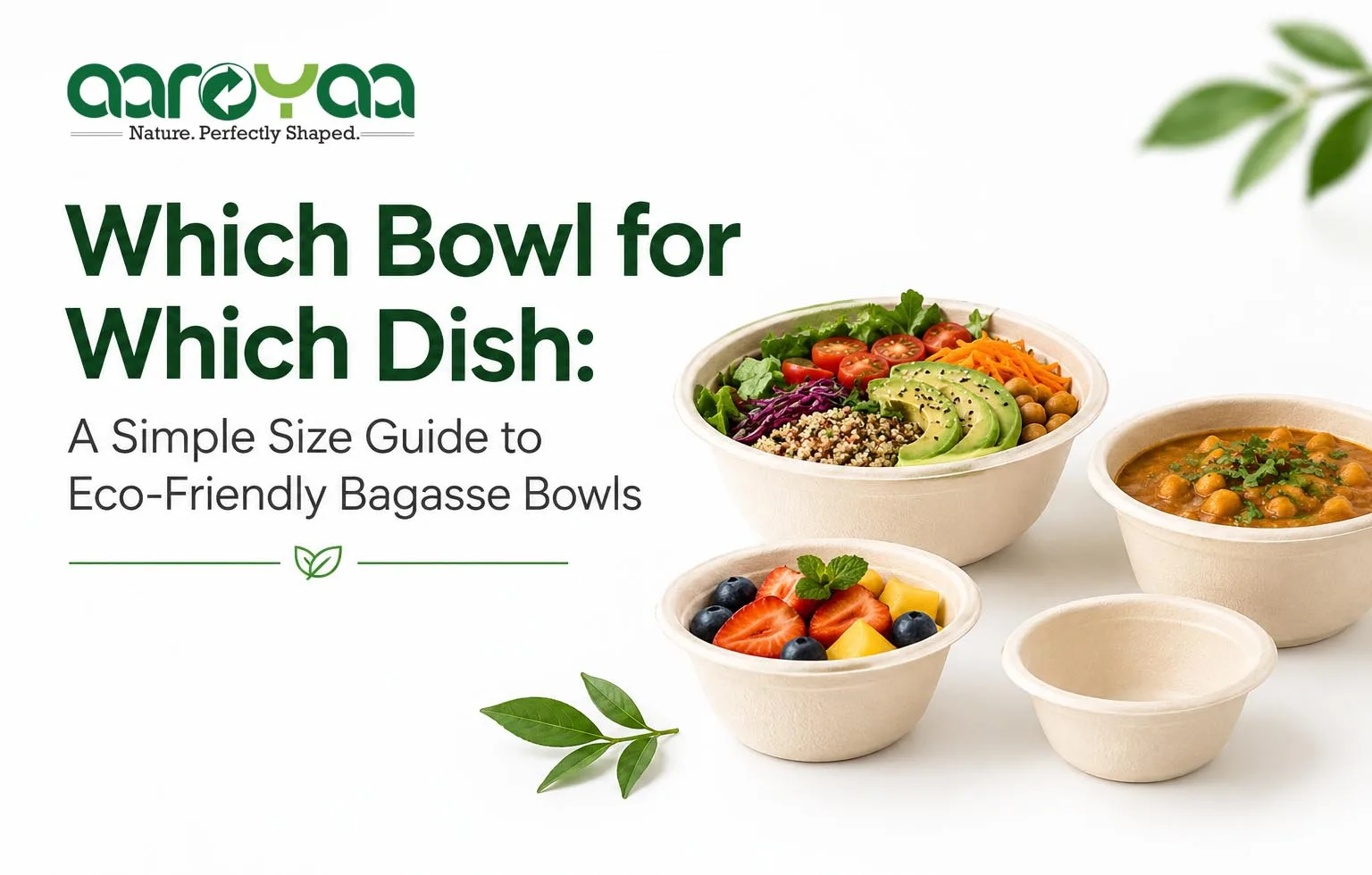 Which Bowl for Which Dish: A Simple Size Guide to Eco-Friendly Bagasse Bowls