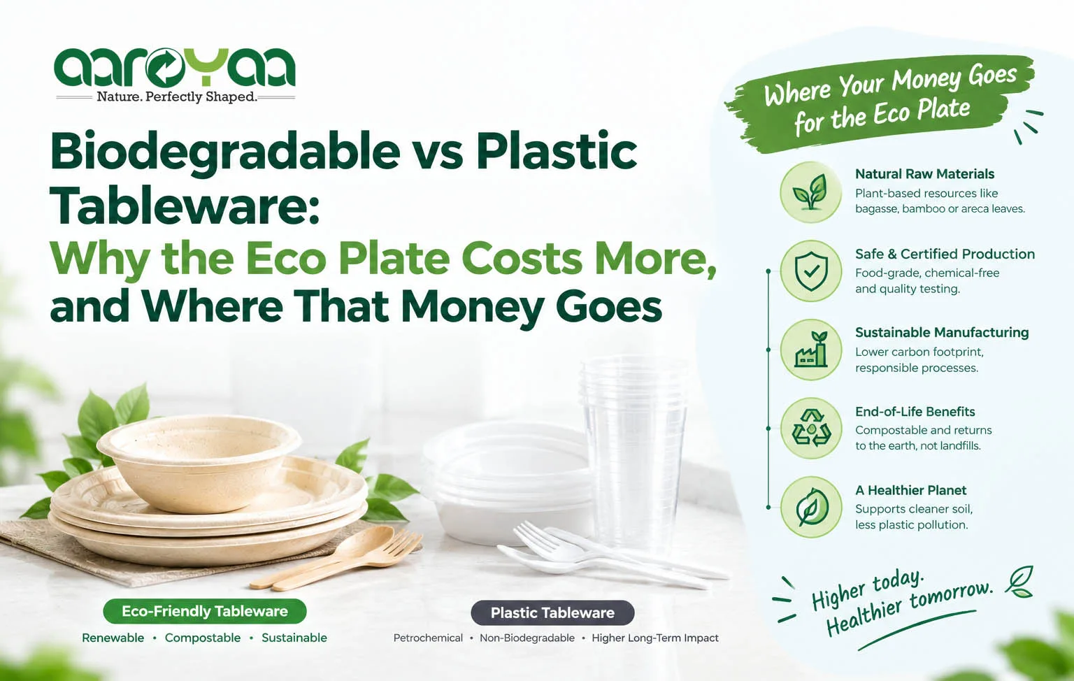 Biodegradable vs Plastic Tableware: Why the Eco Plate Costs More, and Where That Money Goes