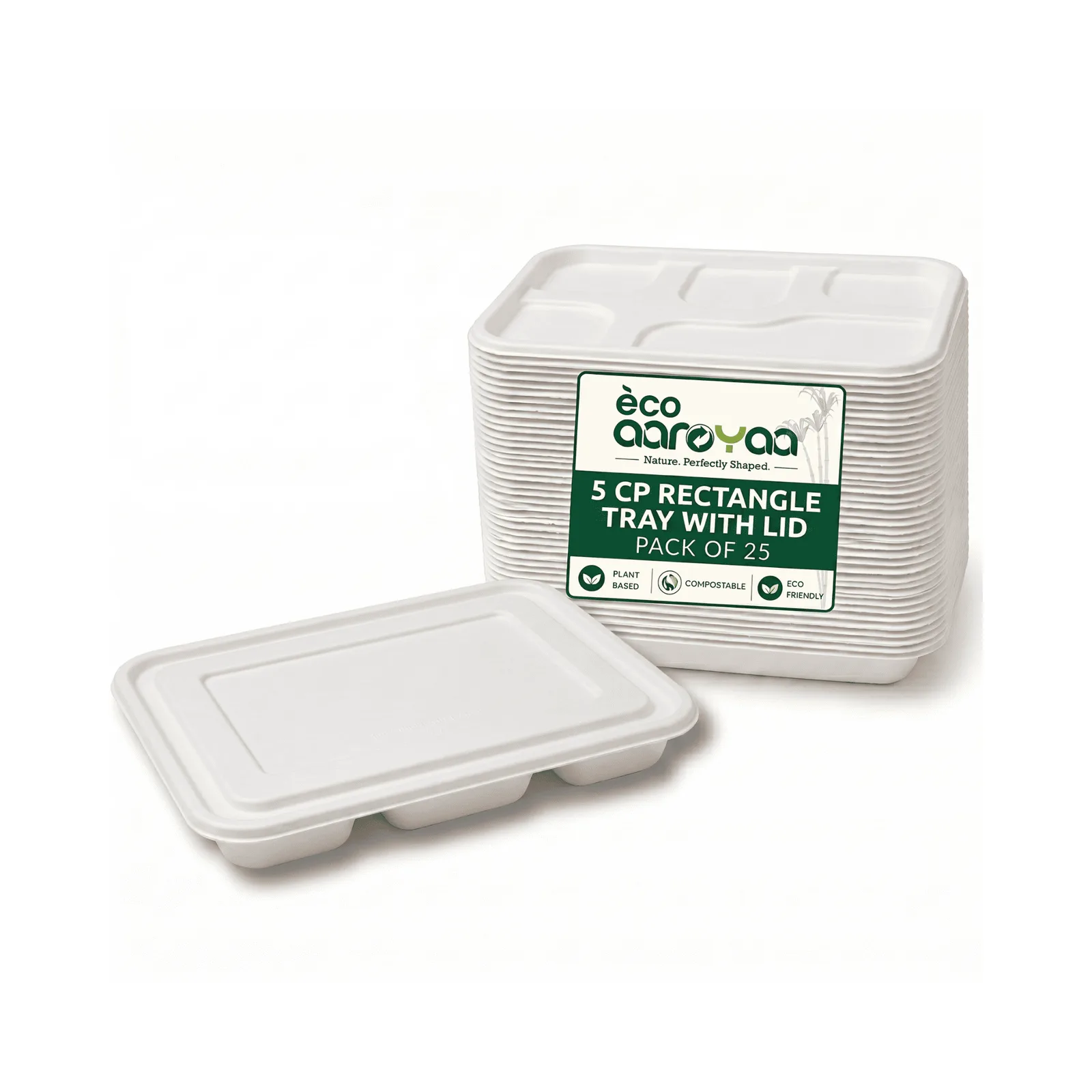 5 CP Rectangle Plate with Lid 1