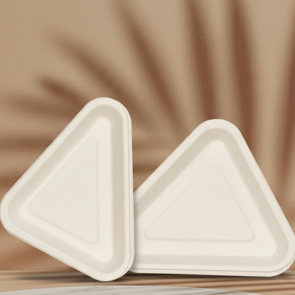 6 " triangle plate 1