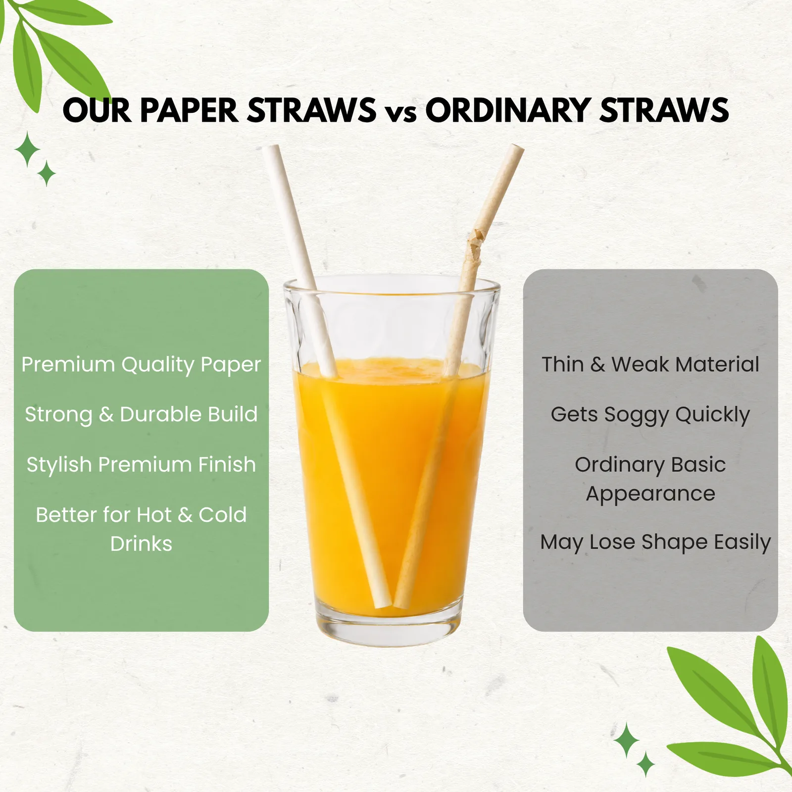 Paper Straw 6 MM (Pack of 50) 3